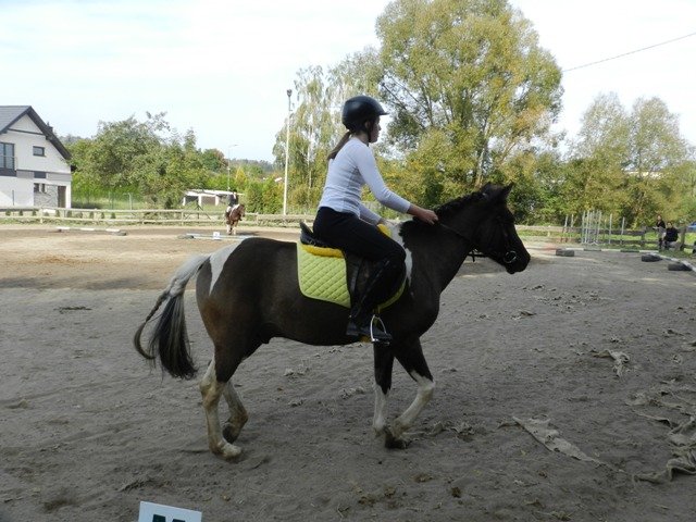 Babie Lato 2016